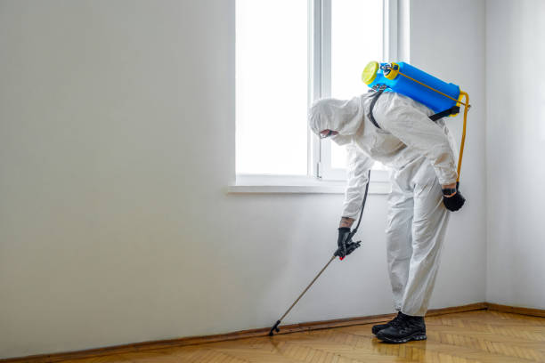 Professional Pest Control in East Petersburg, PA